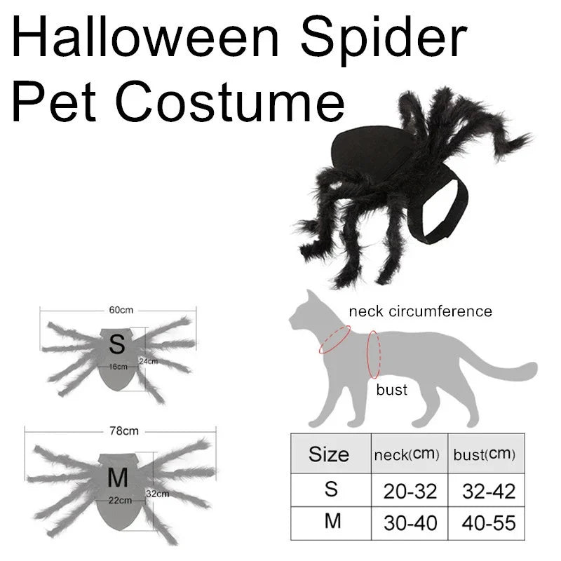 SpiderPaws™