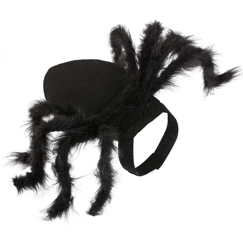SpiderPaws™