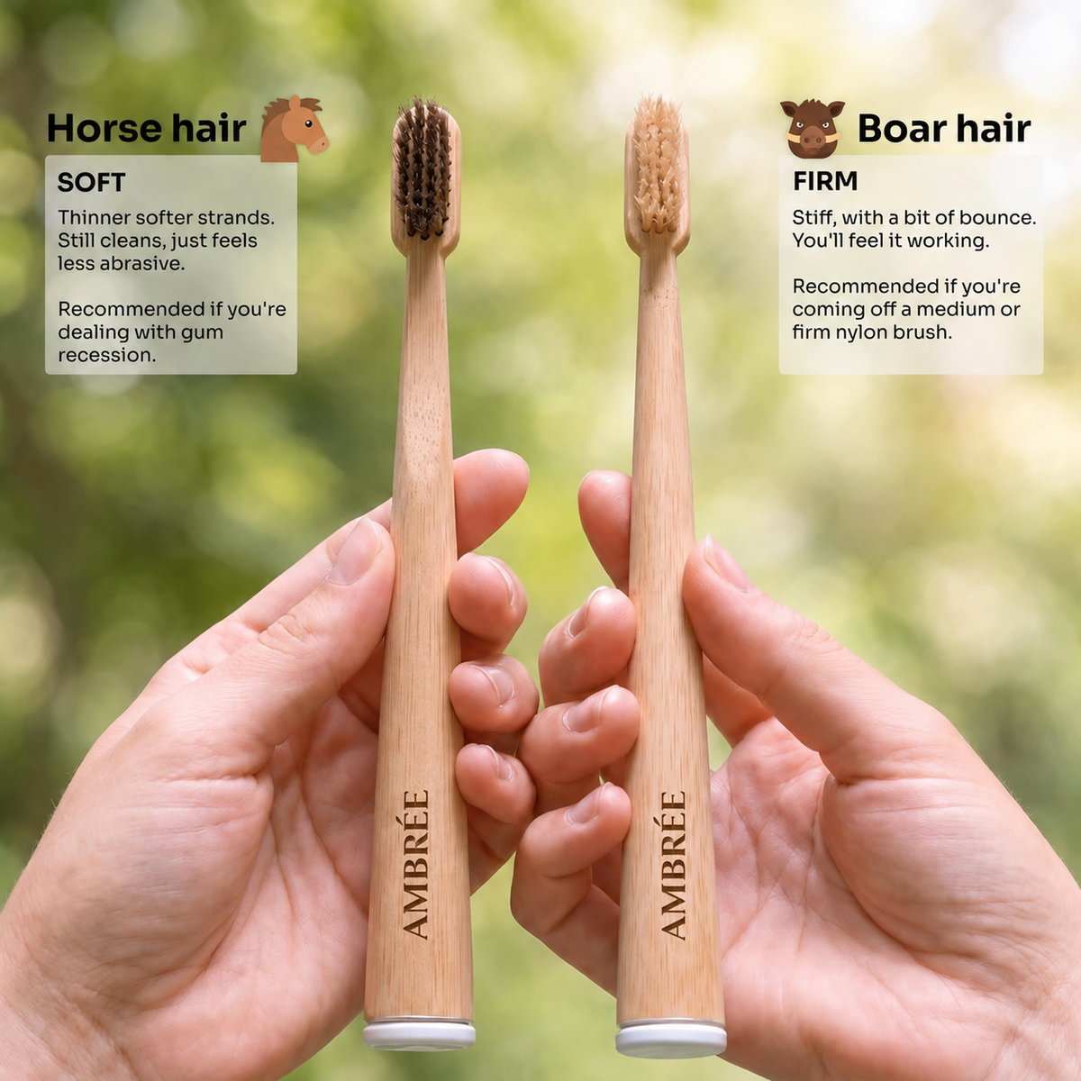 Natural Bristle Toothbrush Boar or Horse Hair