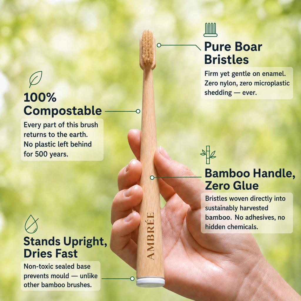Natural Bristle Toothbrush Boar or Horse Hair