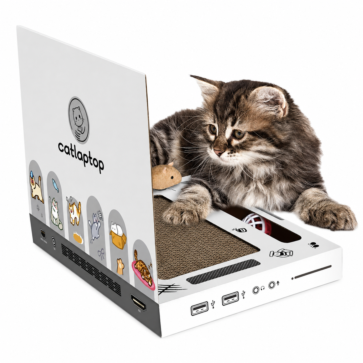 The CatLaptop™ with Free Gifts