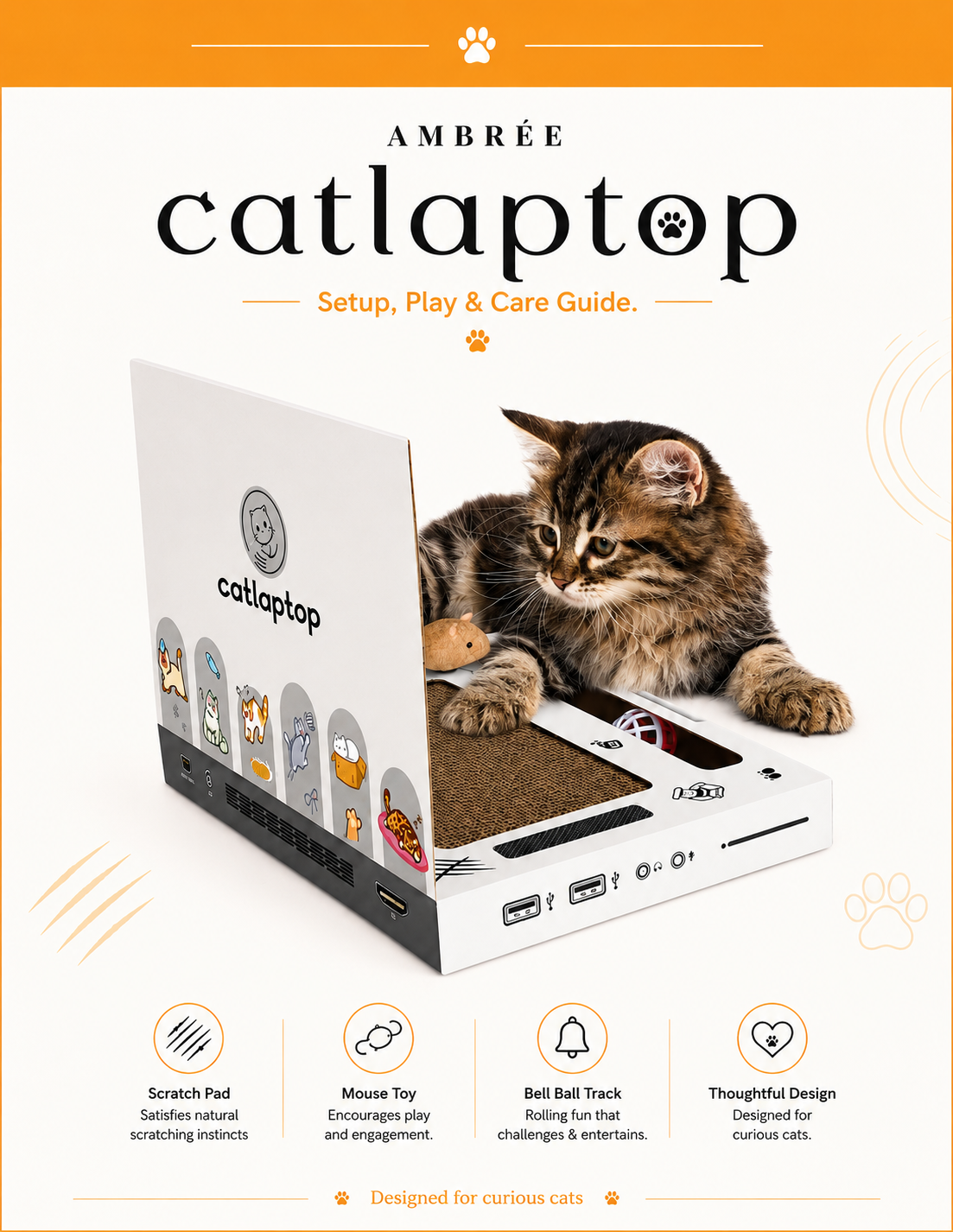 Happy Indoor Cat Guide