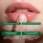 Ambrée Nourish & Shine Premium Lip Balm