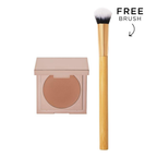 Concealer + Free Paw Brush - Angled for Seamless Application