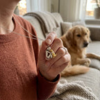 Ambrée - Dog Necklace